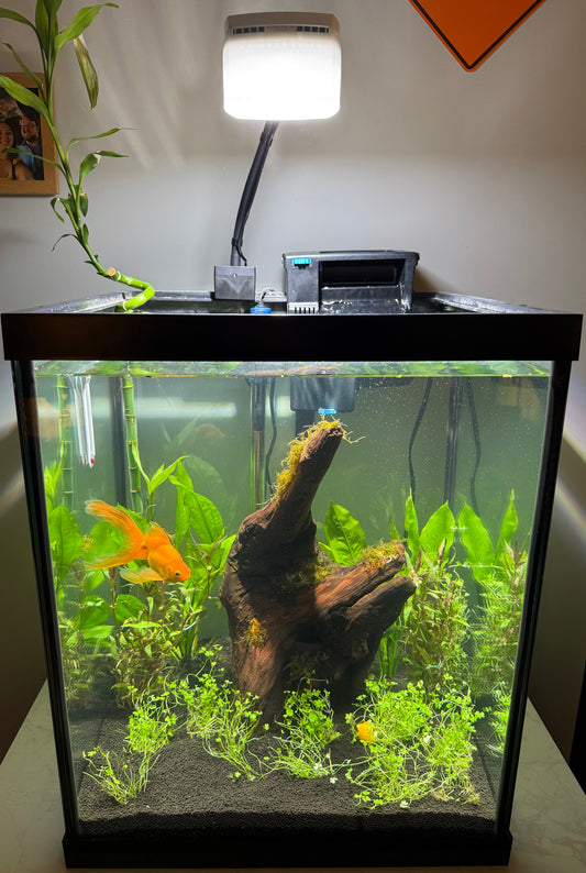 AquaIllumination Prime 16 HD LED Reef Light Shade