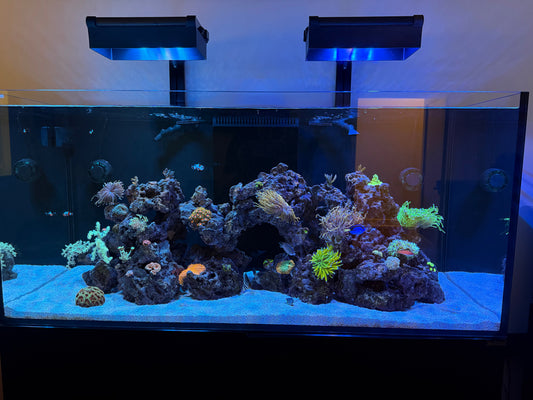 AquaIllumination Hydra Edge 44HD Light Shade