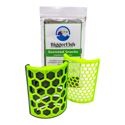Printed Reef Nori Feeder