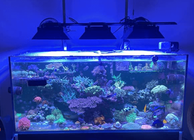 EcoTech Marine Radion XR30 Light Shade | G5 & G6