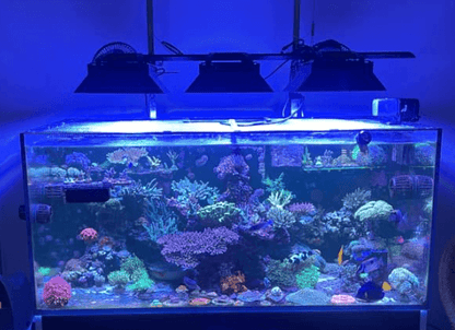 EcoTech Marine Radion XR30 Light Shade | G5 & G6
